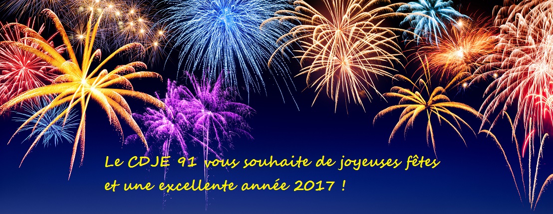Bonne année 2017 !